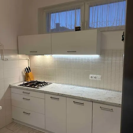 With A - C In 55040 Apartment *